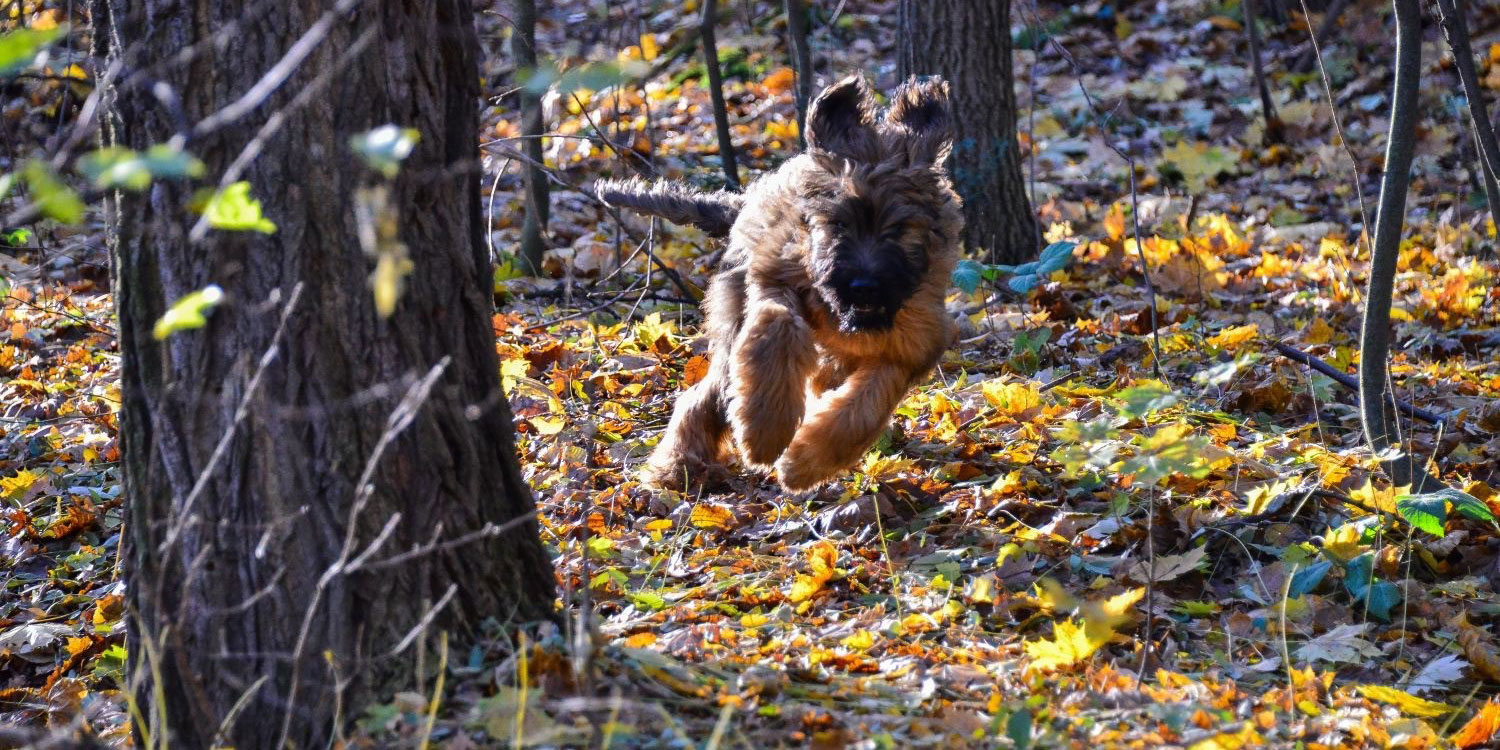 13. November 2016 - Dresdner Heide