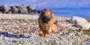 01. Januar 2017 - Toscolano Maderno (Gardasee)