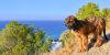 11. Oktober 2016 - Maro (Costa del Sol)