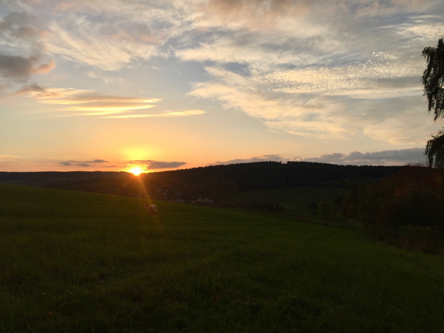 Sonnenaufgang ...