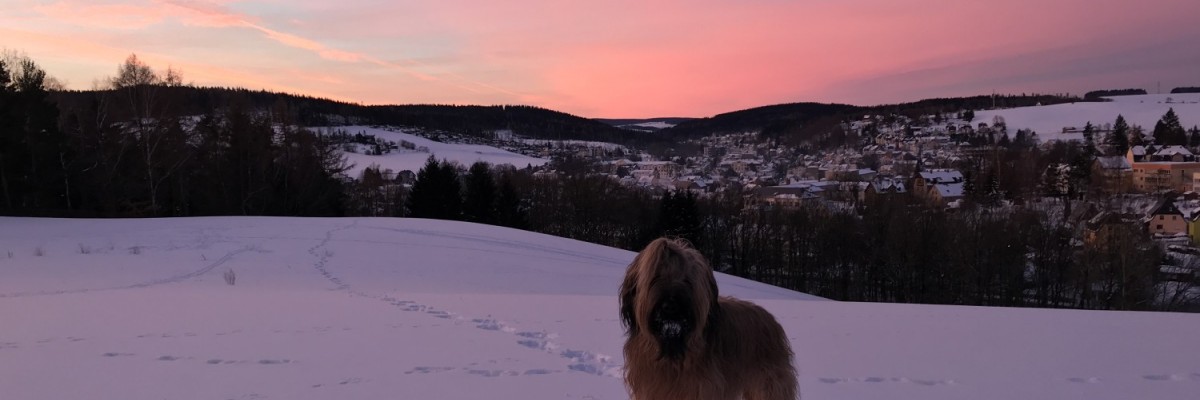 In einem anderen Licht ...