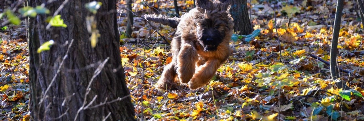 Mein erster Herbst