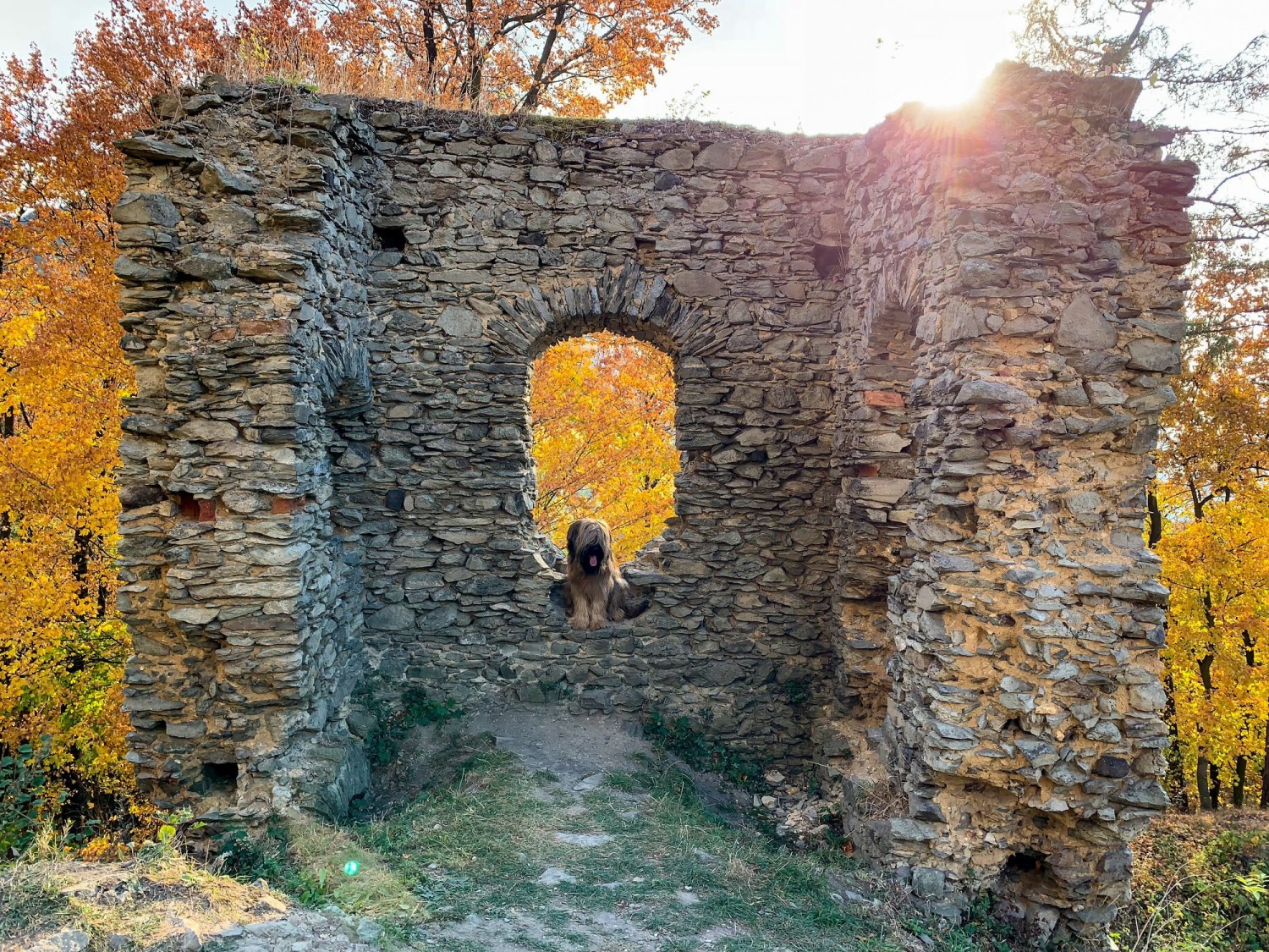 Frühling, Sommer, Herbst, Winter - so schnell vergeht ein Jahr