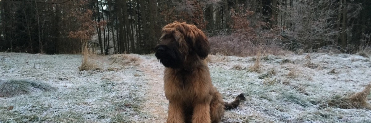 "Winter" im Erzgebirge ...