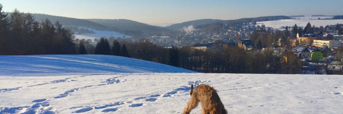 Winter mit meinem tierischen Kumpel