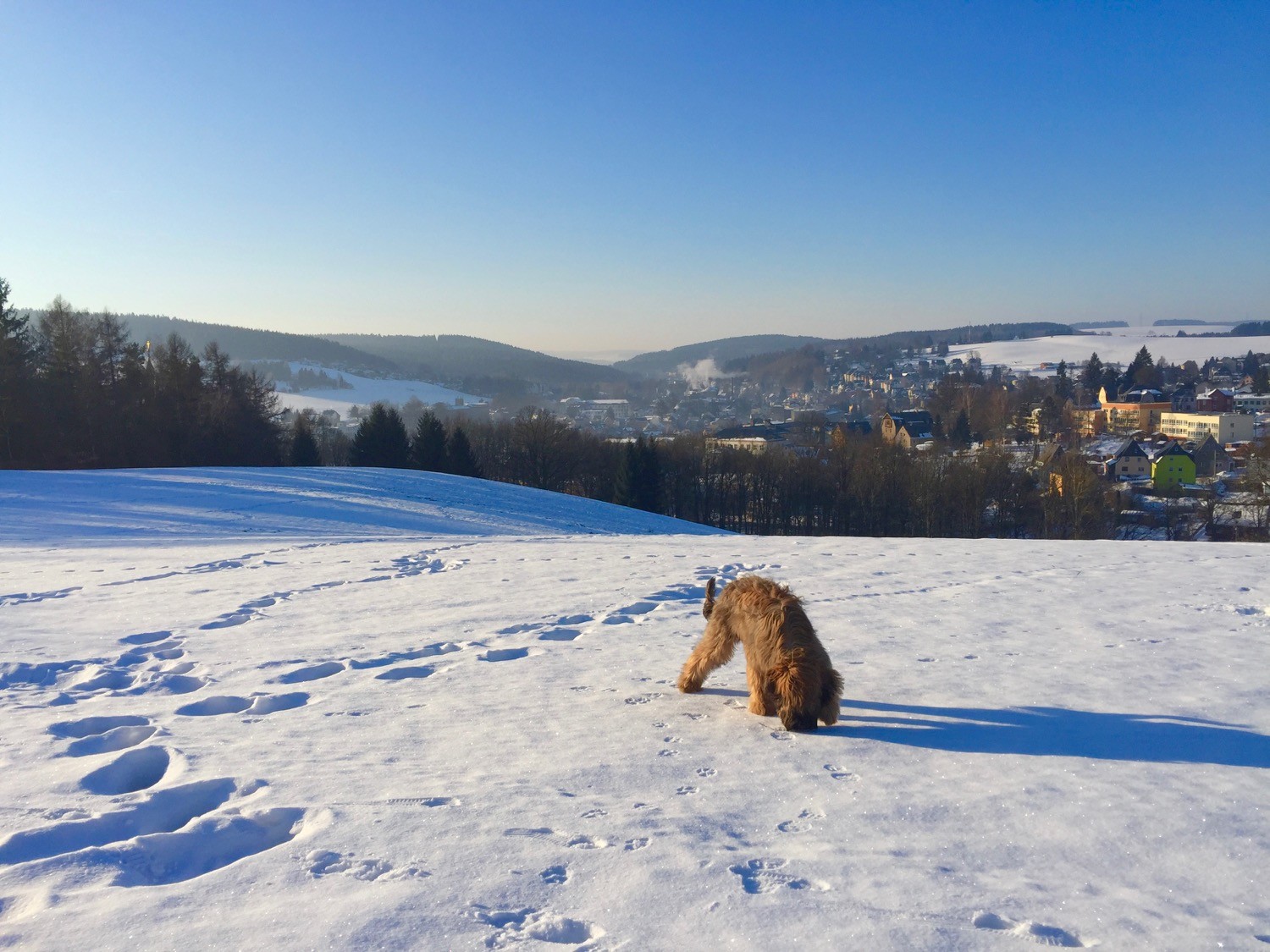 Winter mit meinem tierischen Kumpel