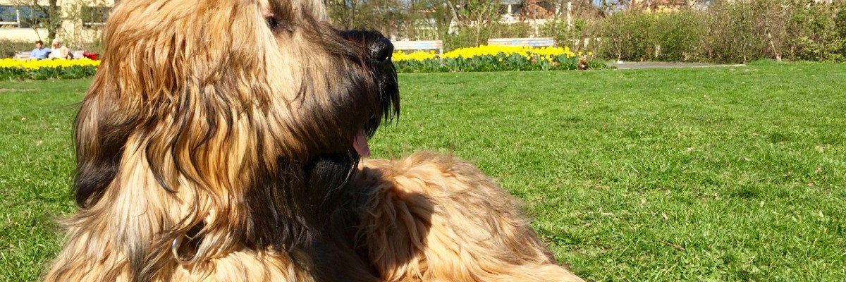 Mein erster Frühling