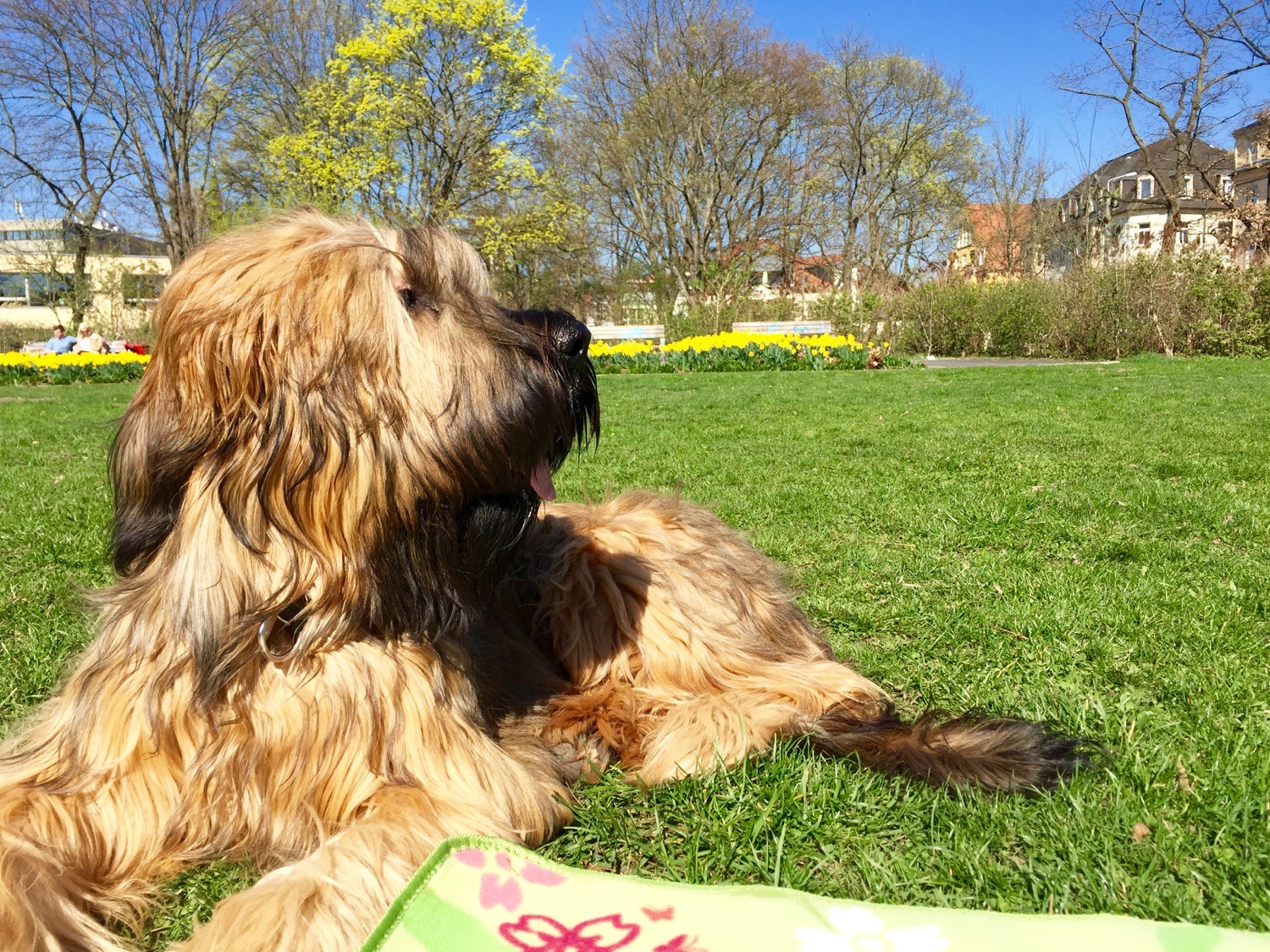 Mein erster Frühling