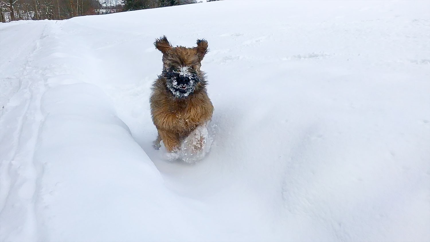 Jipiiiiiiii, mein erster Schneeeeee!!!!!!!!!