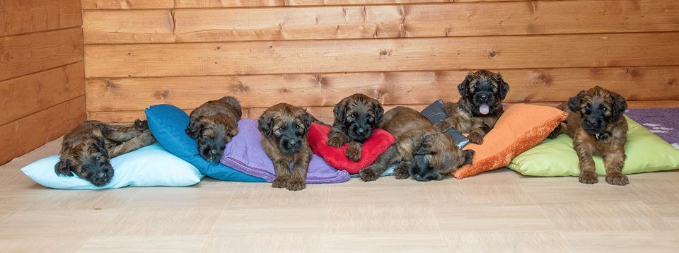 All the parts of the increddible twenty-four!