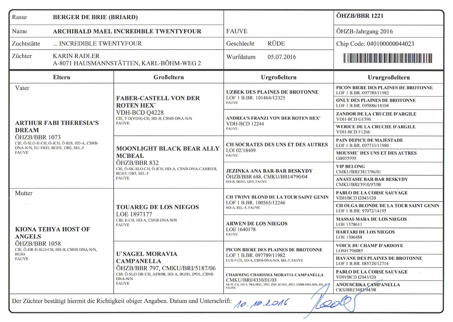 Stammbaum Archiobald Mael of the Incredible twentyfour